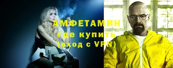 прущие грибы Беломорск