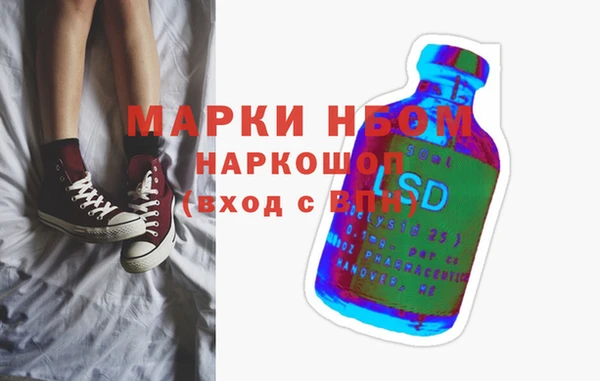 прущие грибы Беломорск