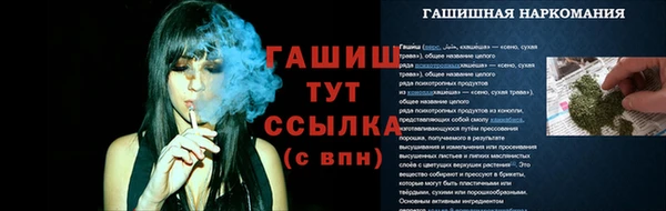 прущие грибы Беломорск