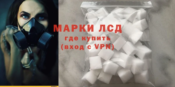 прущие грибы Беломорск