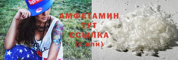 прущие грибы Беломорск
