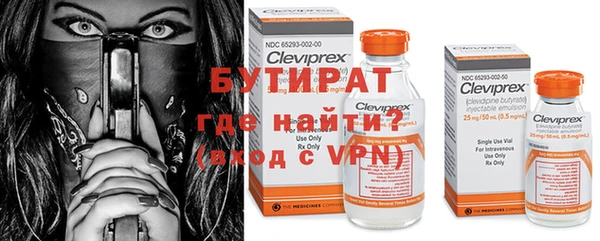 прущие грибы Беломорск