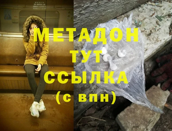 прущие грибы Беломорск
